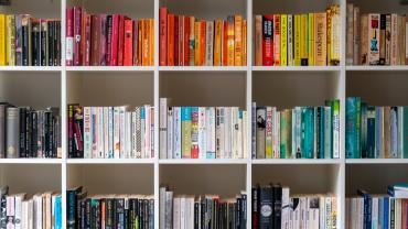 White bookshelf filled with books organized by color.
